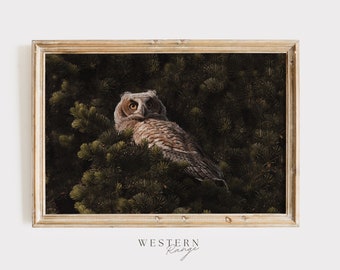 May include: A brown and white owl with yellow eyes is perched in a green pine tree. The owl is looking directly at the camera.