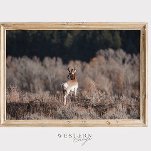 Pronghorn Antelope Print, Looking For Predators, Wildlife Wall Art, Antelope In Sagebrush, Western Scenery, Pronghorn Digital Art
