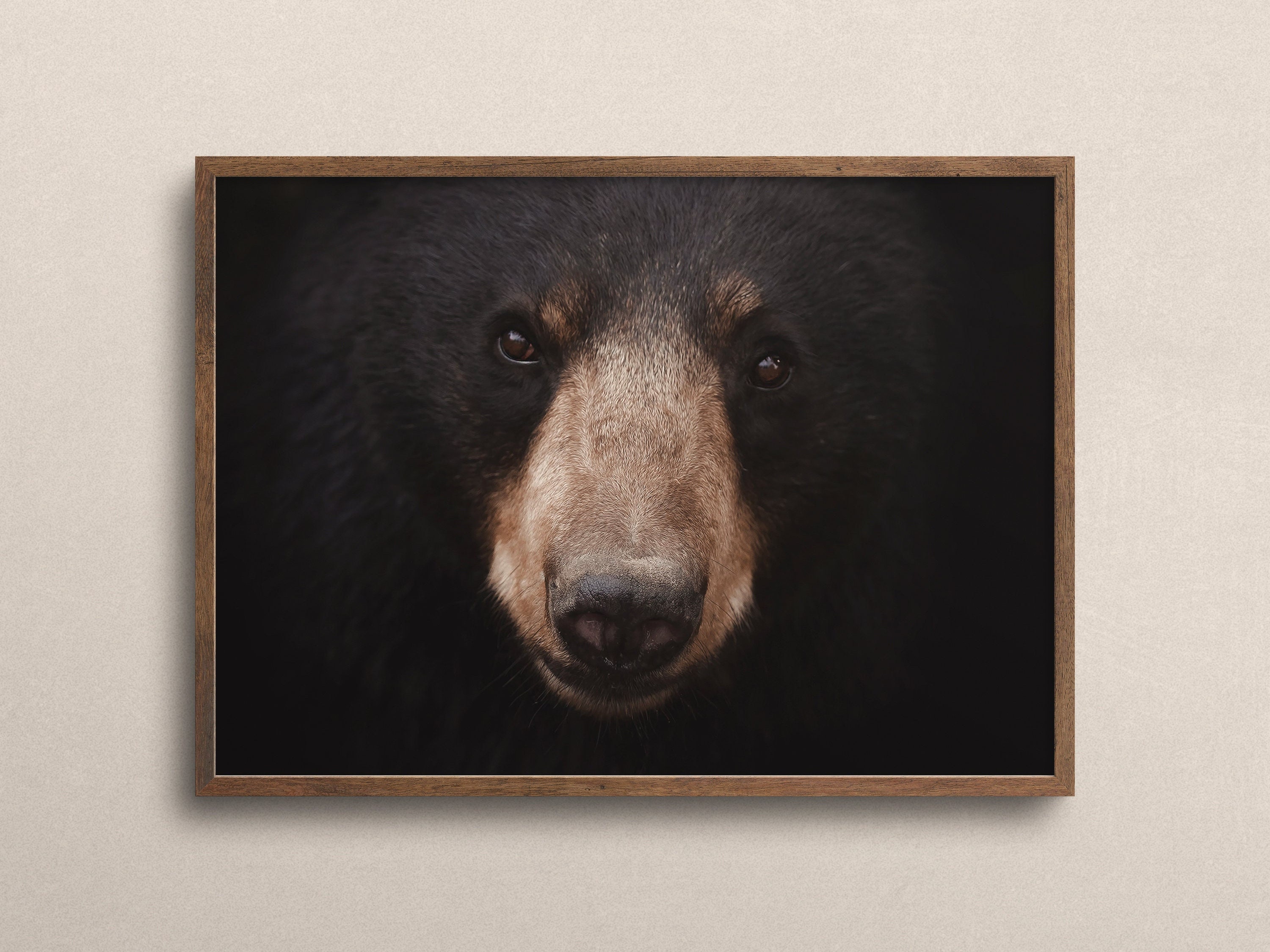 Black Bear Poster, Wildlife Wall Art, Black Bear Close Up, Rustic Home ...