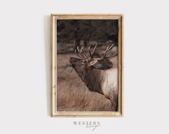Bugling Elk In Forest, Arizona Elk Poster, Wildlife Poster, National Forest Elk Art, Bull Elk Wall Art, Wall Art for Cabin, Rustic Home Art