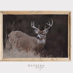 Rustic Deer Poster, Whitetail Deer Wall Art, Gift for Hunter, Midwest ...