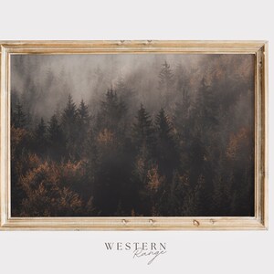 Misty Autumn Forest, Color Changing Trees, Pine Forest Home Decor, Rustic Landscape Print, Woodland Scenery, Foggy Forest Wall Art