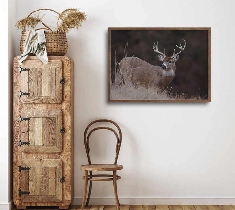 Rustic Deer Poster, Whitetail Deer Wall Art, Gift for Hunter, Midwest