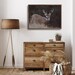 Rustic Deer Poster, Whitetail Deer Wall Art, Gift for Hunter, Midwest ...