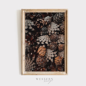 Pine Cone Poster, Rustic Home Decor, Nature Print, Pine Cone on Forest Floor, Modern Rustic Print, Woodland Wall Art, Large Poster Print