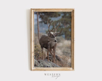 Arizona Mule Deer Poster, Western Wildlife, Trophy Buck Mule Deer, Rustic Deer Poster, Lodge Style Decor, Big Buck Wall Art