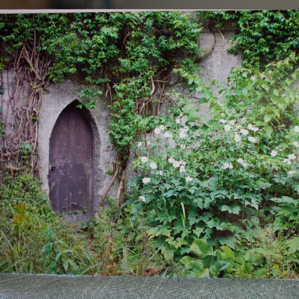 Save the Princess, a semi-hidden door at Malahide Castle, Ireland.  Photograph taken 2016.An unused