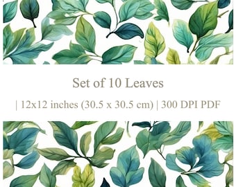 Conjunto de 10 Hojas / Pintura de acuarela / Patrones de hojas / Botánico / Vid / Oliva / Colección de papel listo para imprimir