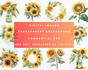 Watercolor Sunflower Clipart, Transparent PNG, Commercial Use (Digital Download)