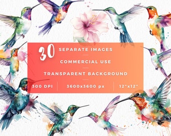 Watercolor Hummingbird Clipart Bundle, Transparent Hummingbird Illustrations, Hummingbird png graphics, Commercial Use, Colibri Clipart