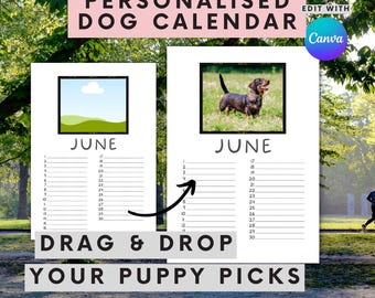 Personalised Dachshund Dog Photo Perpetual Calendar Use for 2026 | Easy Drag and Drop | Customizable Gift | Edit for free in Canva