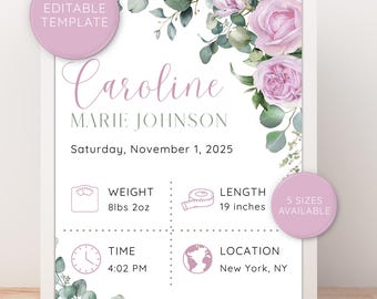 Editable Birth Stats Sign, Baby Birth Stats Poster, Nursery Wall Art, Nursery Decor, New Parents Gift, Baby Gift, Birth Announcement Sign