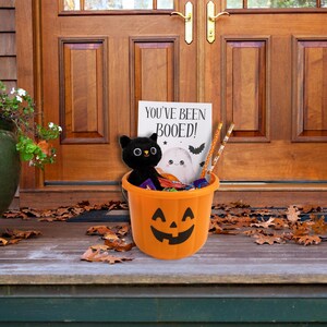 May include: An orange Halloween bucket shaped like a jack-o'-lantern, filled with treats, a black cat toy, and a sign saying "YOU'VE BEEN BOOED!". The bucket is on a porch with autumn leaves.