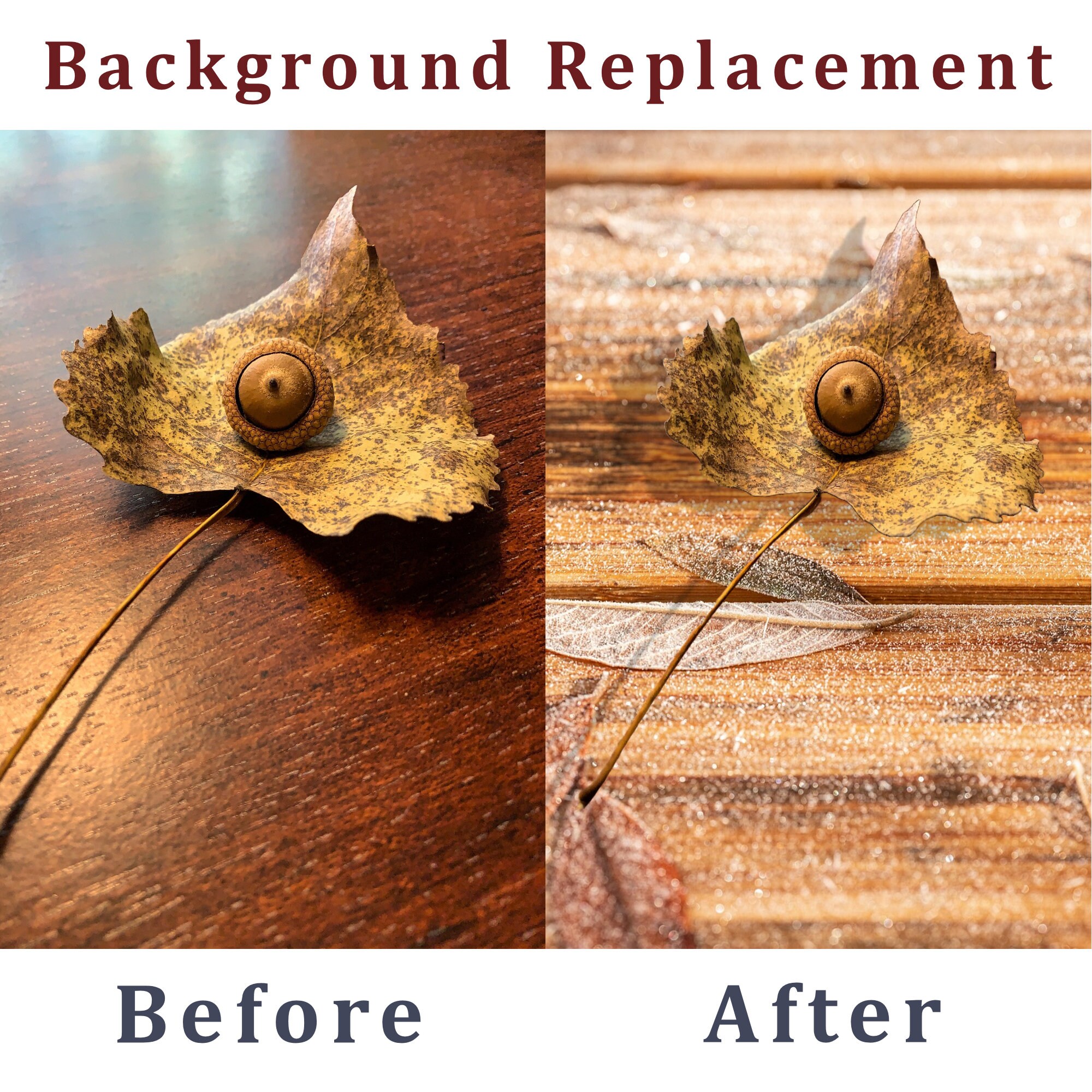 Replace Background, Edit Image Background, Remove Background From Photo