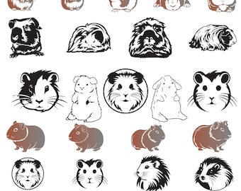 Guinea Pig Svg Bundle, Pig Clipart For Cricut, Cute Pig Silhouette, Guinea Pig Vector, Guinea Pig Decal, Guinea Pig Cut File.
