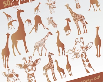 Giraffe Svg Bundle, Cute Giraffe Clipart For Cricut, Animal Cut Files, Giraffe Vector, Giraffe Decal
