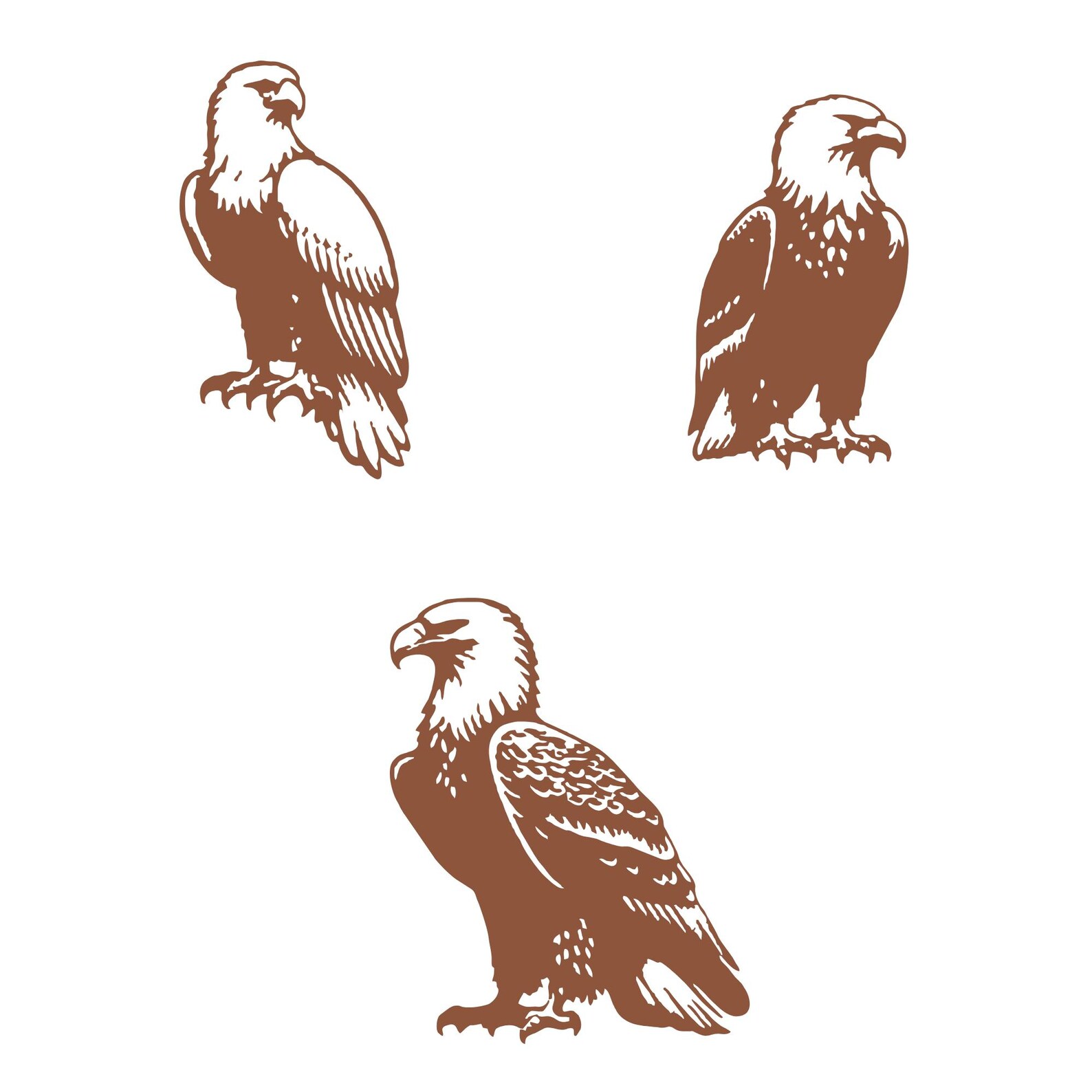 Eagle Svg Bundle, Bald Eagle Clipart, Bird of Prey Vector, Eagle Decal ...