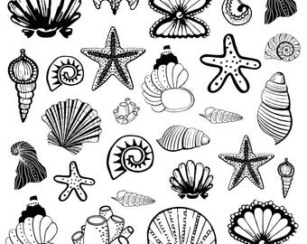 Pakiet svg muszli, clipart muszli, wektor Sea World, naklejka Pastel Seashells, pliki do cięcia Sea Life, sylwetka muszli.