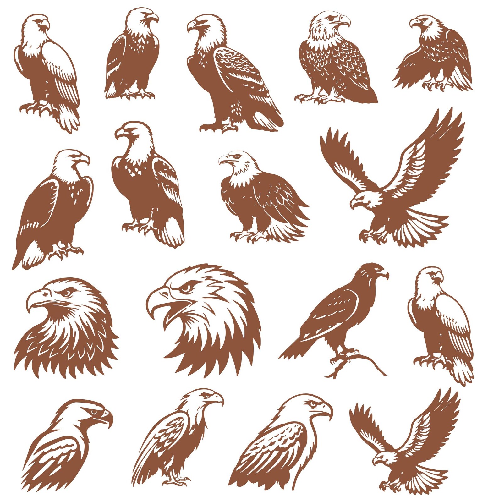 Eagle Svg Bundle, Bald Eagle Clipart, Bird of Prey Vector, Eagle Decal ...