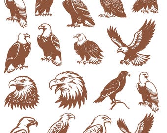 Pakiet Eagle svg, Klipart - orzeł bielik, Wektor drapieżnego ptaka, Naklejka z orłem, Pliki do cięcia szybującego orła, Sylwetka amerykańskiego orła.