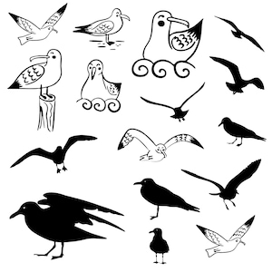 Seagull svg Bundle, Seagull Clipart, Seagull head Vector, Coastal Decal, Birds Cut Files, Seagull Silhouette.