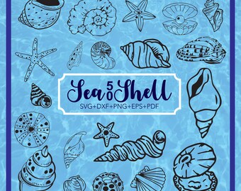 Muschel SVG-Bundle, Muschel Clipart für Cricut, Muschel Silhouette, Muschel Schnittdateien, Muschel Aufkleber, Muschel Vektor.