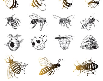 Biene Bundle, Honigbiene Clipart für Cricut, Wabe Silhouette, Biene Vektor, Biene Abziehbild, Biene geschnitten Dateien.