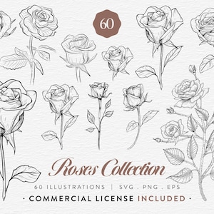 Rose Clipart Bundle, 60 Vintage Rose Illustrations, SVG PNG EPS, Botanical Rose Line Art, Floral Clip Art Set, Commercial Use