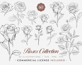 Rose Clipart Bundle, 60 Vintage Rose Illustrations, SVG PNG EPS, Botanical Rose Line Art, Floral Clip Art Set, Commercial Use