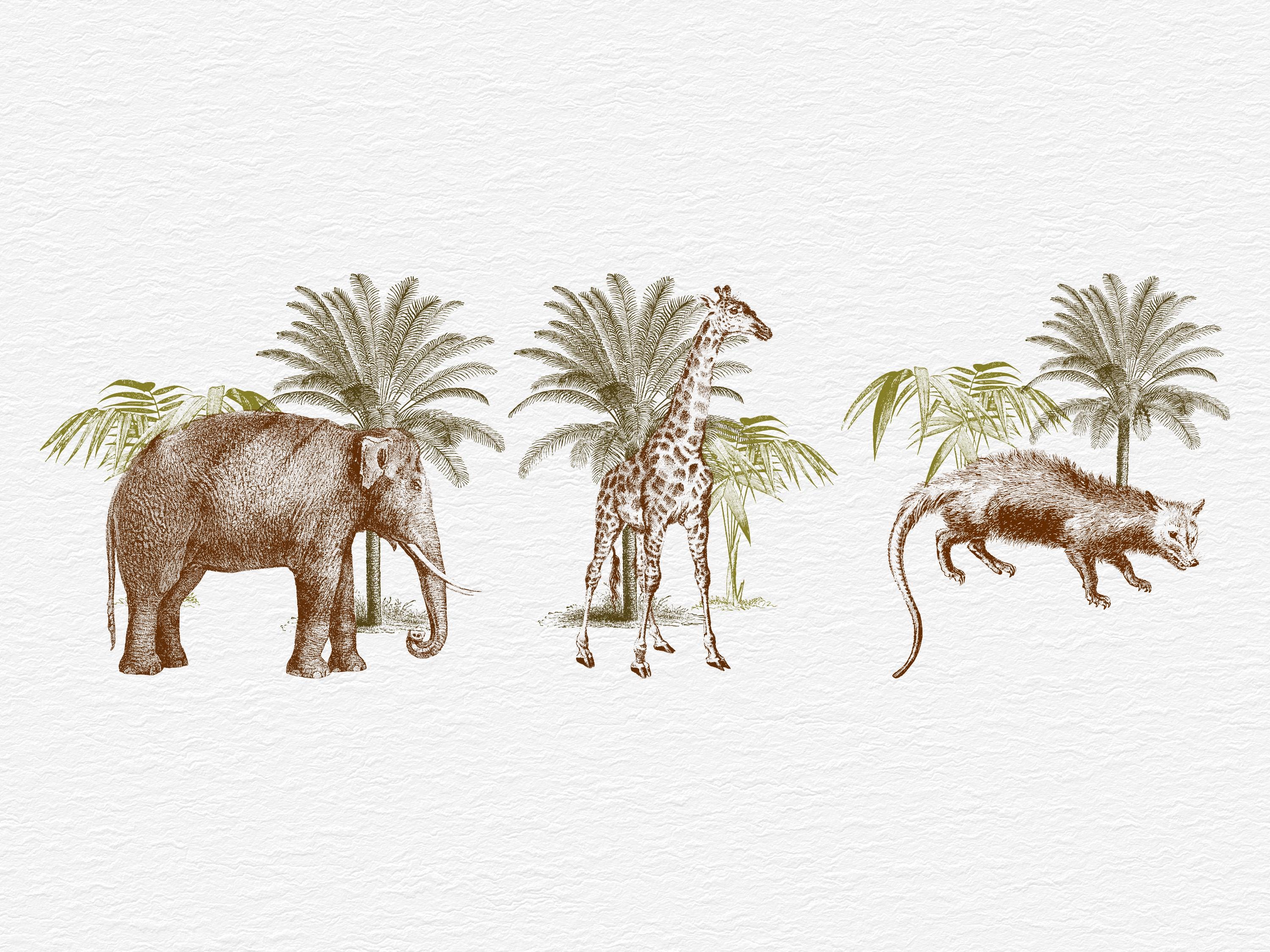 Jungle Animal Clipart, SVG PNG EPS, 11 Vintage Safari Animals Bundle ...