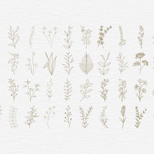 Botanical Clipart Bundle, 120 Floral Line Art, SVG PNG EPS, Wildflower Clip Art Set, Minimalist Flower, Illustrations Commercial Use image 3