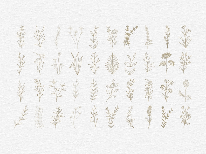 Botanical Clipart Bundle, 120 Floral Line Art, SVG PNG EPS, Wildflower Clip Art Set, Minimalist Flower, Illustrations Commercial Use image 3