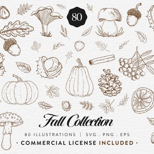 Lot automne, 80 illustrations de clipart dessinés à la main automne, glands de champignon citrouille, SVG PNG EPS, dessin au trait botanique vintage, usage Commercial