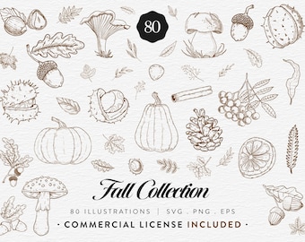 Fall Bundle, 80 Autumn Hand-drawn Clipart Illustrations, Pumpkin Mushroom Acorn, SVG PNG EPS, Vintage Botanical Line Art, Commercial Use