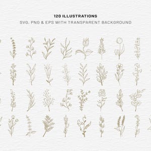 Botanical Clipart Bundle, 120 Floral Line Art, SVG PNG EPS, Wildflower Clip Art Set, Minimalist Flower, Illustrations Commercial Use image 4