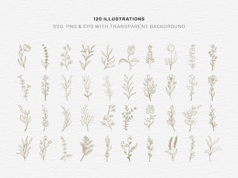 Botanical Clipart Bundle, 120 Floral Line Art, SVG PNG EPS, Wildflower Clip Art Set, Minimalist Flower, Illustrations Commercial Use image 4