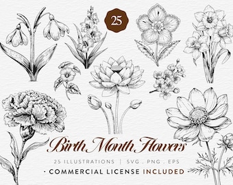 Birth Month Flowers, 25 Hand Drawn Botanical Line Art Illustrations, SVG PNG EPS, Floral Vintage Engraving Clipart, Commercial Use