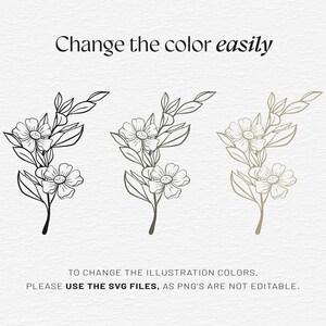Botanical Clipart Bundle, 120 Floral Line Art, SVG PNG EPS, Wildflower Clip Art Set, Minimalist Flower, Illustrations Commercial Use image 5