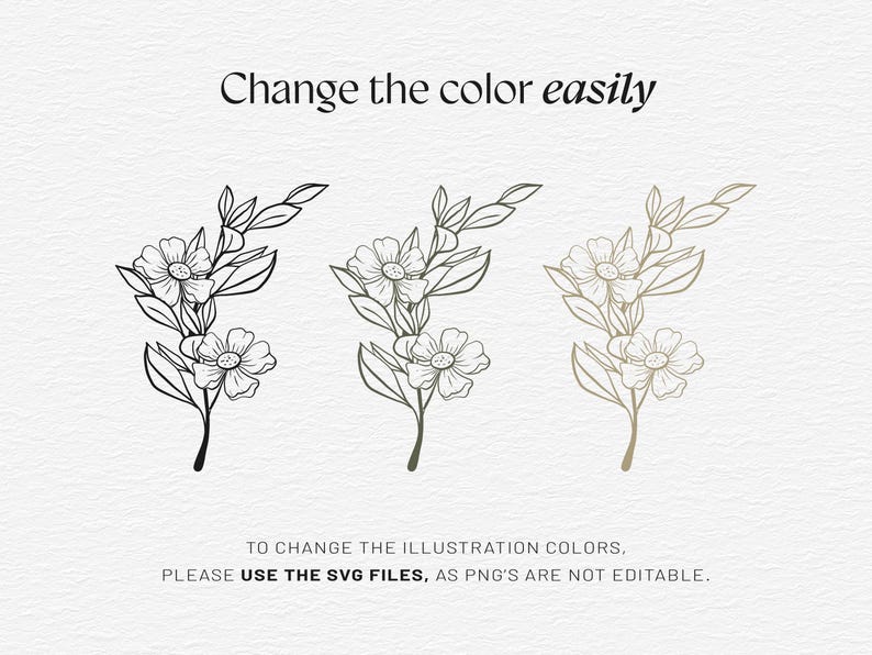 Botanical Clipart Bundle, 120 Floral Line Art, SVG PNG EPS, Wildflower Clip Art Set, Minimalist Flower, Illustrations Commercial Use image 5