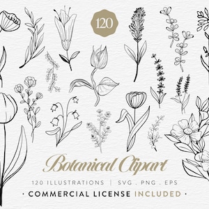 Botanical Clipart Bundle, 120 Floral Line Art, SVG PNG EPS, Wildflower Clip Art Set, Minimalist Flower, Illustrations Commercial Use