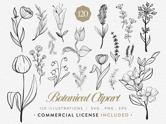 Botanical Clipart Bundle, 120 Floral Line Art, SVG PNG EPS, Wildflower Clip Art Set, Minimalist Flower, Illustrations Commercial Use