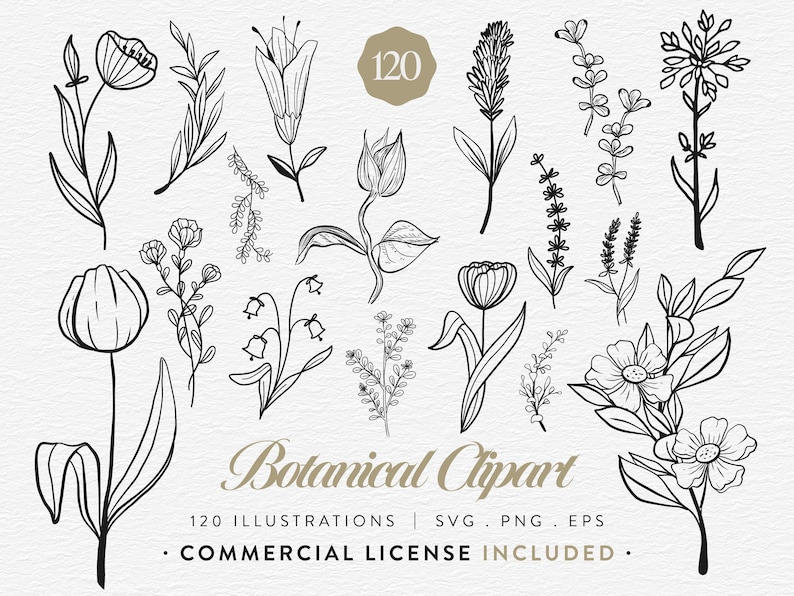 Botanical Clipart Bundle, 120 Floral Line Art, SVG PNG EPS, Wildflower Clip Art Set, Minimalist Flower, Illustrations Commercial Use image 1