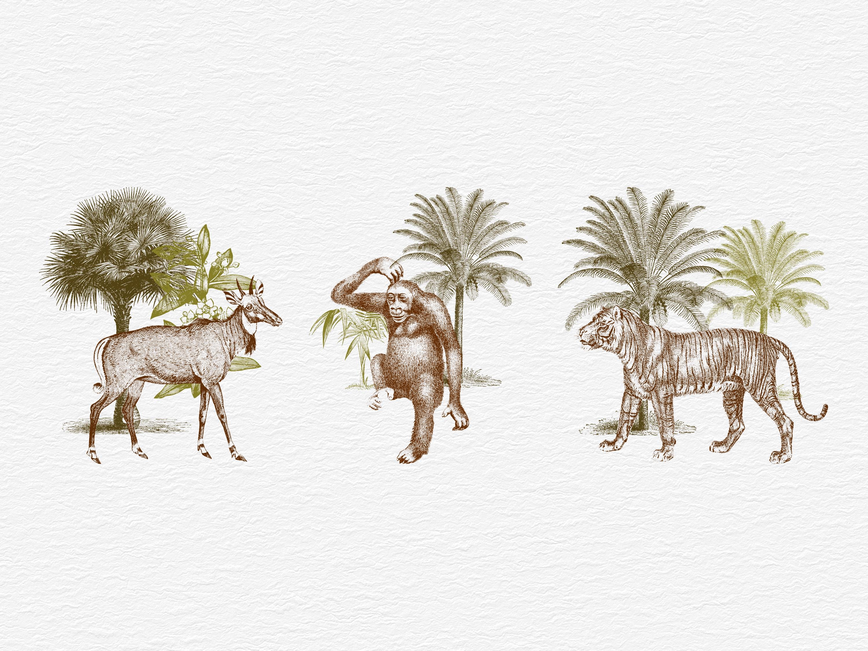 Jungle Animal Clipart, SVG PNG EPS, 11 Vintage Safari Animals Bundle ...