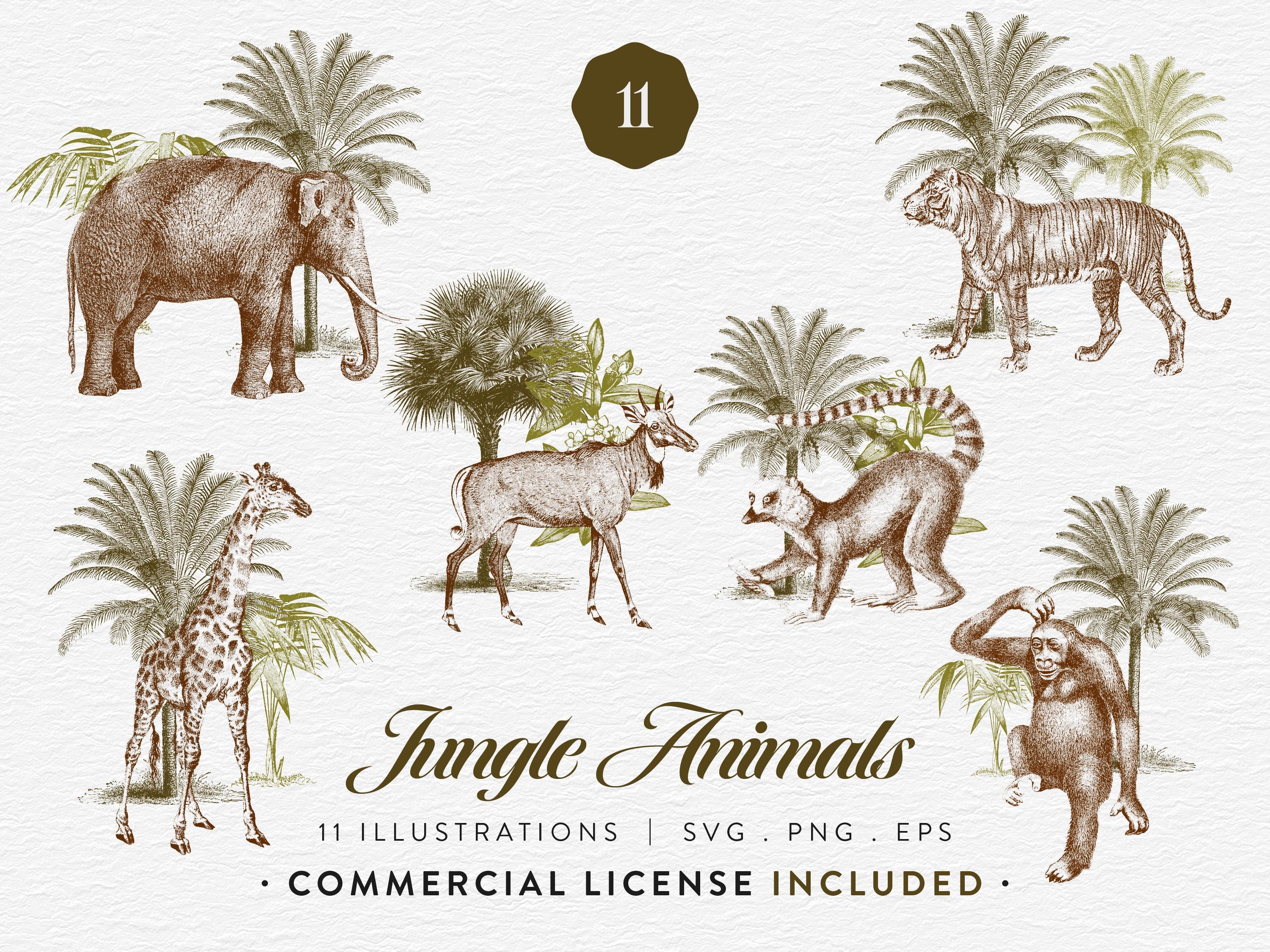 Jungle Animal Clipart, SVG PNG EPS, 11 Vintage Safari Animals Bundle ...