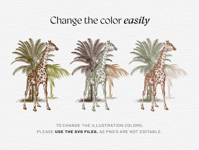 Jungle Animal Clipart, SVG PNG EPS, 11 Vintage Safari Animals Bundle ...