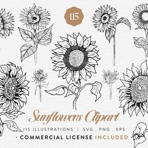 Paquete de imágenes prediseñadas de girasoles, 115 ilustraciones lineales de girasoles, SVG, PNG, EPS, conjunto de imágenes prediseñadas de flores botánicas, ilustraciones vintage de girasoles, uso comercial