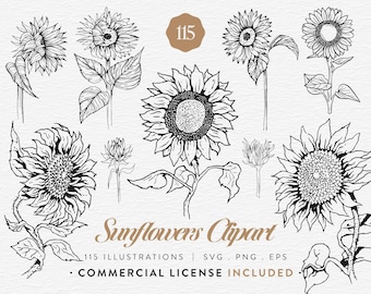 Sunflower Clipart Bundle, 115 Sunflower Line Art, SVG PNG EPS, Botanical Flower Clip Art Set Vintage Sunflower Illustrations, Commercial Use