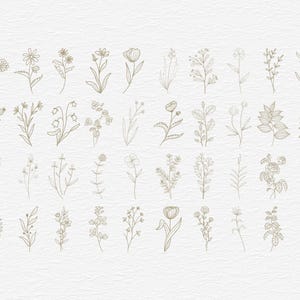 Botanical Clipart Bundle, 120 Floral Line Art, SVG PNG EPS, Wildflower Clip Art Set, Minimalist Flower, Illustrations Commercial Use image 2