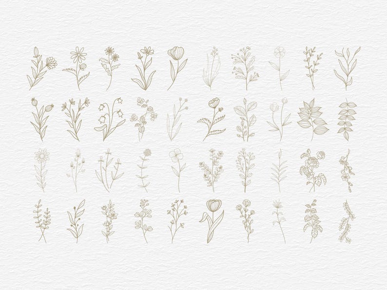 Botanical Clipart Bundle, 120 Floral Line Art, SVG PNG EPS, Wildflower Clip Art Set, Minimalist Flower, Illustrations Commercial Use image 2