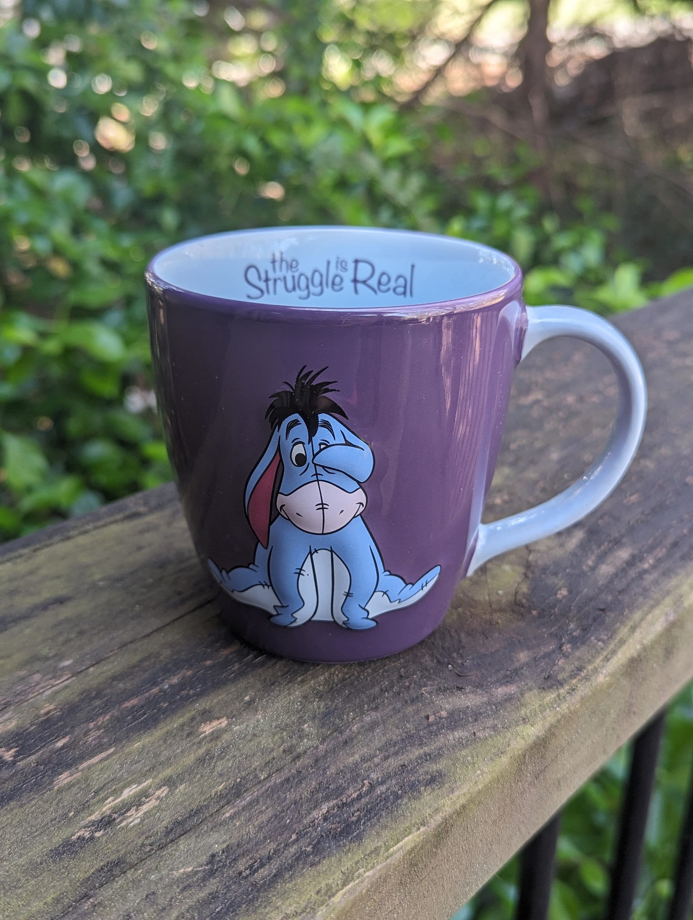 Disney Parks Eeyore Coffee Mug the Struggle is Real 2019 Winnie the Pooh Collectible Disney Mug With Minor Wear Etsy